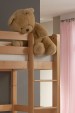 Bild5